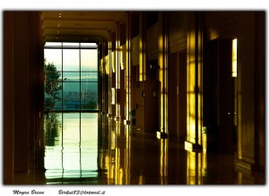 Window