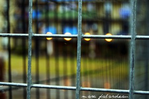 FENCE